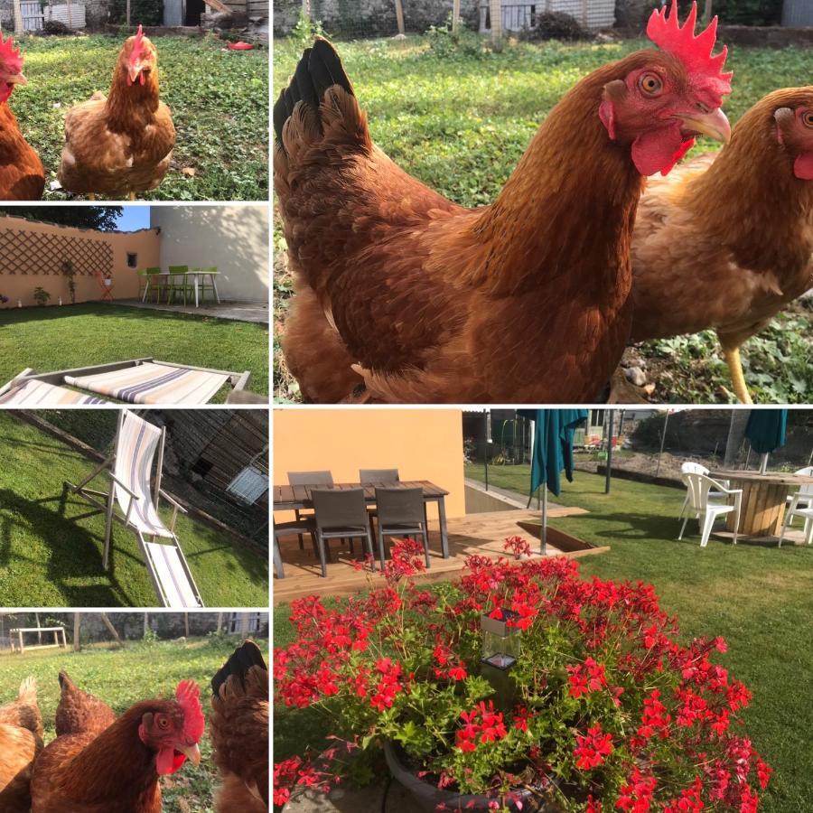 Les Gites De La Frerie La Gaubretiere Dış mekan fotoğraf
